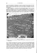 giornale/CFI0397638/1929/unico/00000328