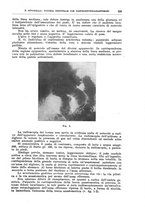 giornale/CFI0397638/1929/unico/00000359