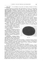 giornale/CFI0397638/1929/unico/00000417