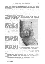 giornale/CFI0397638/1929/unico/00000467