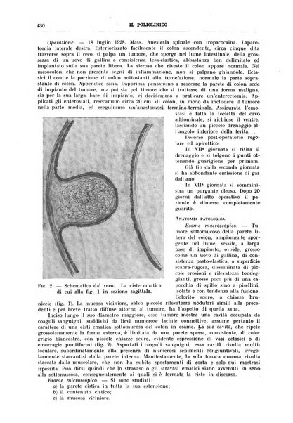 Il policlinico. Sezione chirurgica organo della Società italiana di chirurgia