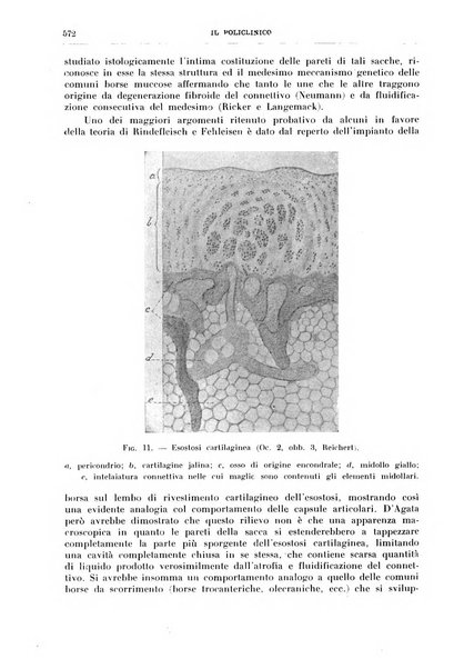 Il policlinico. Sezione chirurgica organo della Società italiana di chirurgia