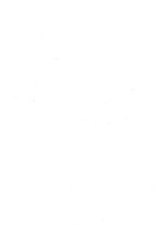 giornale/CFI0398172/1895/unico/00000008