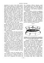 giornale/CFI0398451/1935/unico/00000032