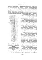 giornale/CFI0398451/1936/unico/00000012