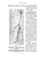 giornale/CFI0398451/1936/unico/00000020