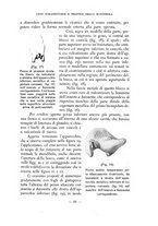 giornale/CFI0398451/1936/unico/00000039