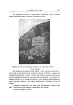 giornale/CFI0399807/1924/unico/00000035