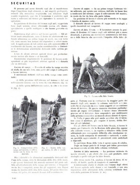 Securitas rassegna della sicurezza e dell'igiene nell'industria e nell'agricoltura - Anno 14, n. 4 (apr. 1927)-anno 65, n. 5/12 (1981)