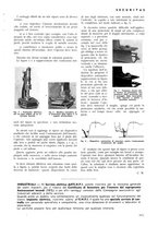 giornale/CFI0401435/1942/unico/00000217