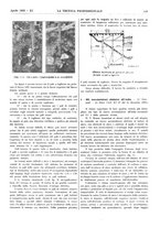 giornale/CFI0402138/1933/unico/00000119