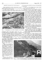 giornale/CFI0402138/1933/unico/00000140