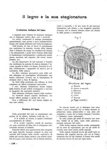 La tecnica professionale. Servizio lavori, linea e impianti raccolta di studi e notizie per l'istruzione del personale ferroviario