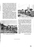 giornale/CFI0402138/1936/unico/00000019