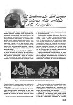 giornale/CFI0402138/1936/unico/00000233