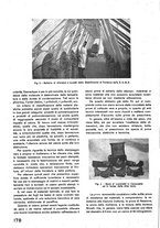 giornale/CFI0402138/1939/unico/00000384