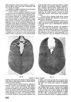 giornale/CFI0402138/1941/unico/00000162