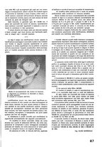 giornale/CFI0402138/1942/unico/00000395