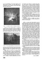 giornale/CFI0402138/1942/unico/00000416