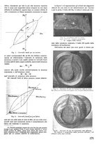 giornale/CFI0402138/1943/unico/00000169