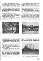 giornale/CFI0402138/1943/unico/00000299