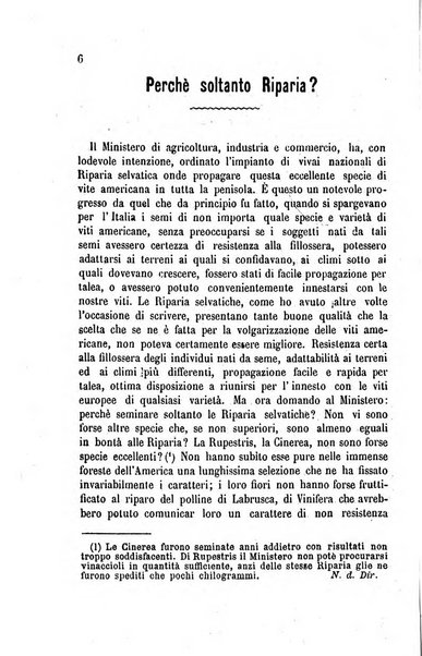 Viti americane la filossera e le altre malattie della vite