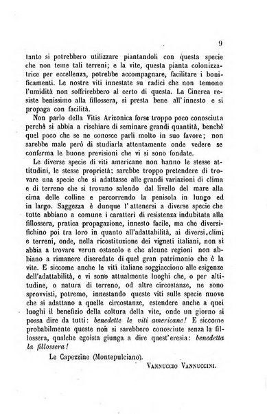 Viti americane la filossera e le altre malattie della vite