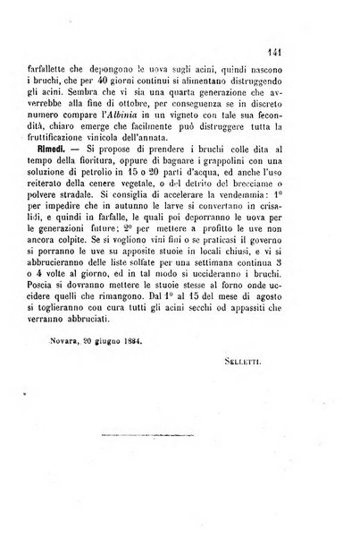 Viti americane la filossera e le altre malattie della vite