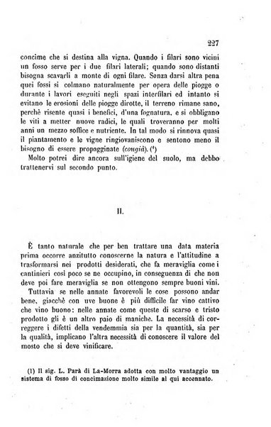 Viti americane la filossera e le altre malattie della vite