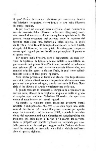 Viti americane la filossera e le altre malattie della vite