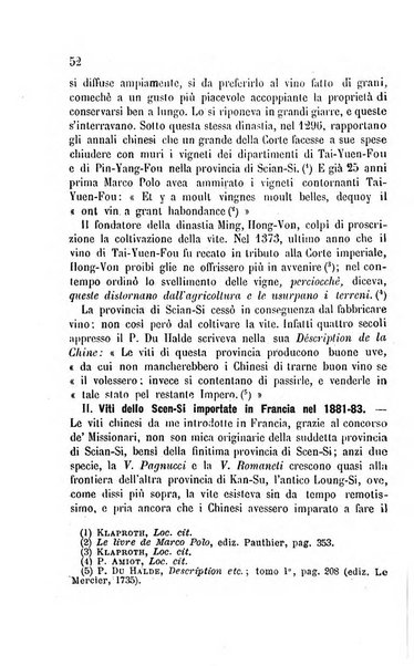 Viti americane la filossera e le altre malattie della vite