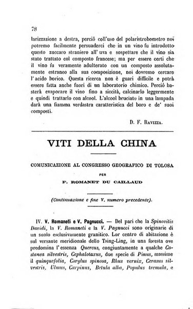 Viti americane la filossera e le altre malattie della vite