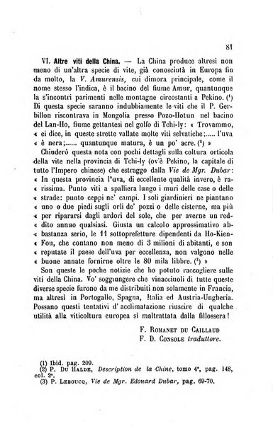 Viti americane la filossera e le altre malattie della vite