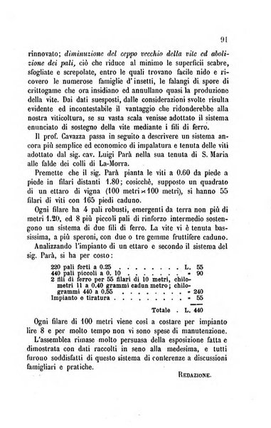 Viti americane la filossera e le altre malattie della vite