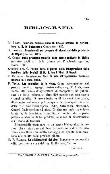 Viti americane la filossera e le altre malattie della vite