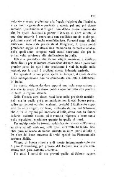 Viti americane la filossera e le altre malattie della vite