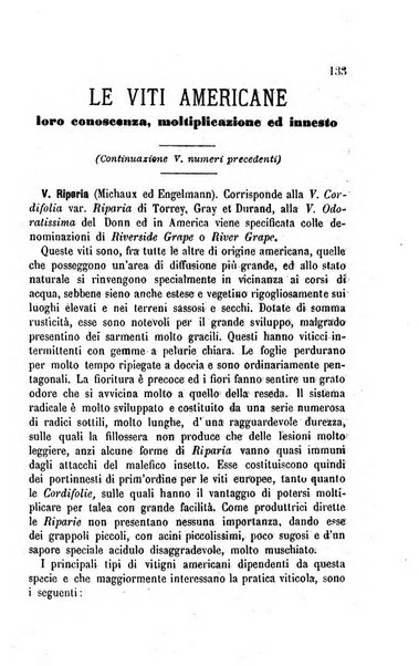 Viti americane la filossera e le altre malattie della vite