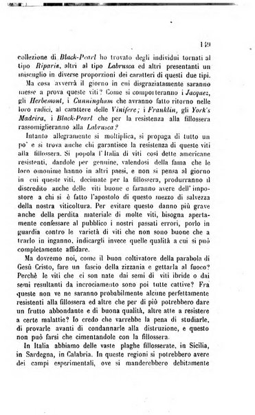 Viti americane la filossera e le altre malattie della vite