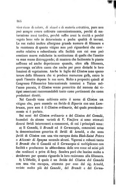 Viti americane la filossera e le altre malattie della vite