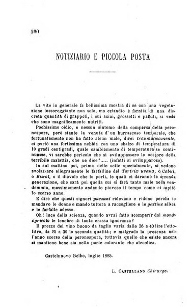 Viti americane la filossera e le altre malattie della vite