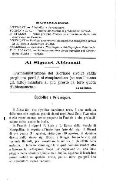 Viti americane la filossera e le altre malattie della vite