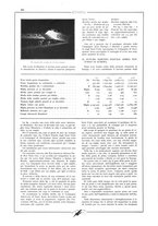 giornale/CFI0407751/1931/unico/00000272