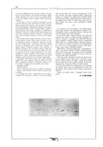 giornale/CFI0407751/1931/unico/00000666