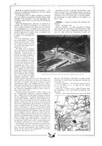 giornale/CFI0407751/1931/unico/00000942