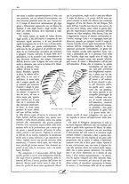 giornale/CFI0407751/1931/unico/00000956