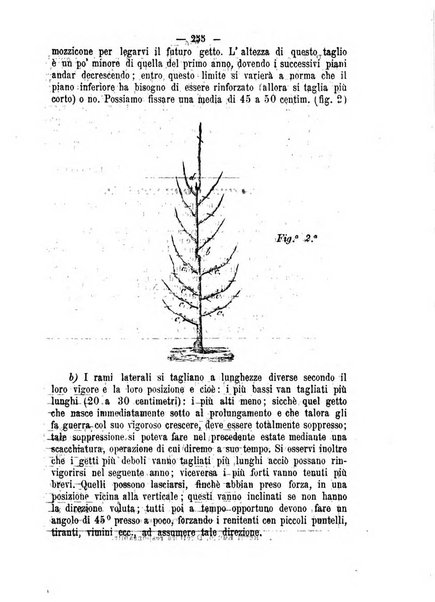 Il campagnuolo giornale di agricoltura pratica