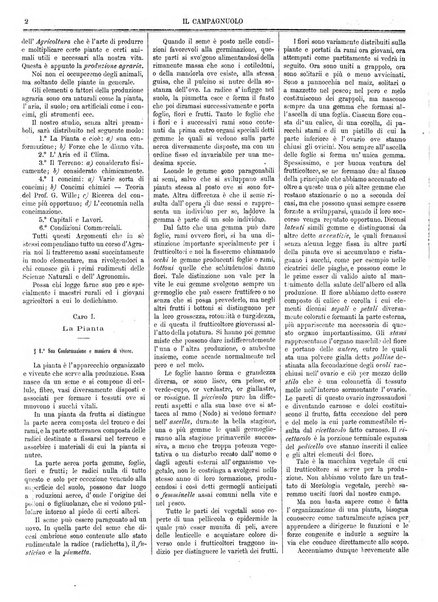 Il campagnuolo giornale di agricoltura pratica