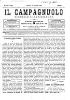 giornale/CFI0410131/1884/unico/00000013