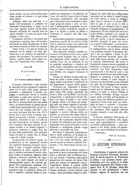 Il campagnuolo giornale di agricoltura pratica