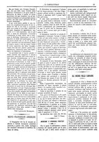 giornale/CFI0410131/1884/unico/00000017